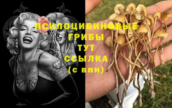 крисы Алексин