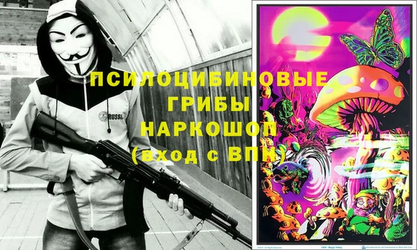 гашик Алзамай