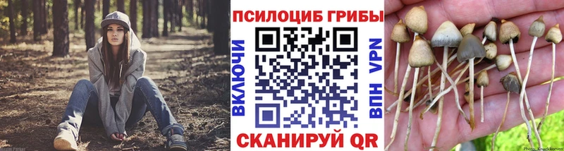 Галлюциногенные грибы Psilocybine cubensis  Крым 